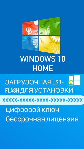 Windows 10 Pro / Home / USB-Flash для установки + ключ купить по низкой ...