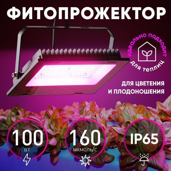 Фитолампа для растений красный спектр FITO-100W-RB-LED / прожектор ...