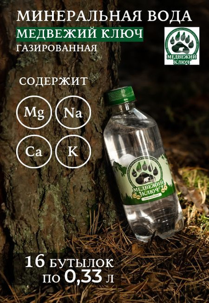 Минеральная вода с магнием и калием газированная МЕДВЕЖИЙ КЛЮЧ (16 ...