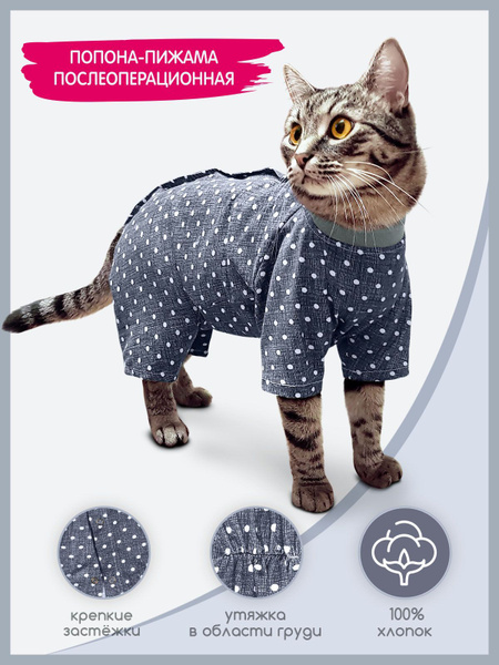 Попона для кошек послеоперационная "Булочка" - купить с доставкой по ...