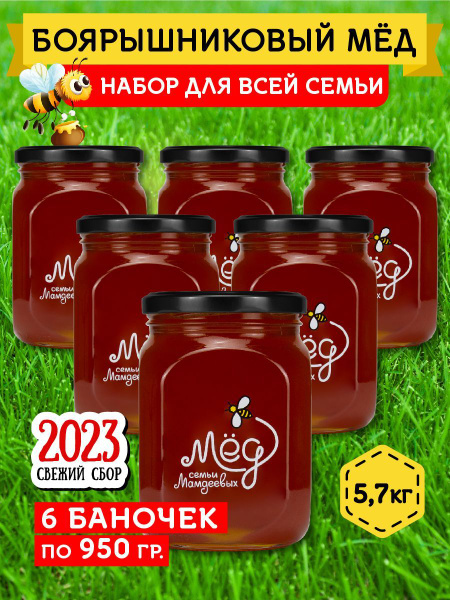 Набор Боярышниковый натуральный мед 5,7 кг , подарок, сладости к чаю ...