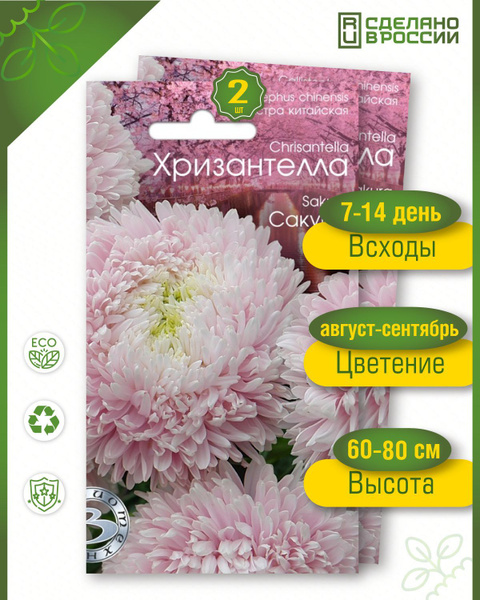 Астры однолетние Биотехника Хризантелла Сакура - купить по выгодным ...