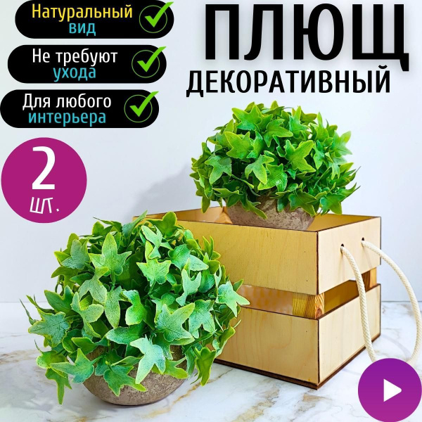 Купить Искусственные цветы в горшке Плющ. Декоративные цветы в кашпо ...