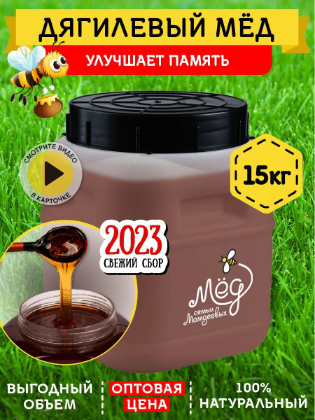 Мед натуральный Дягилевый мед, 15 кг, настоящий ЭКО продукт правильное ...