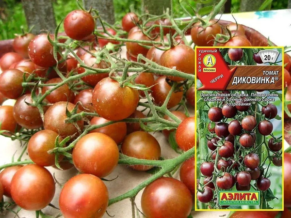 Томаты Агрофирма Аэлита т3 - купить по выгодным ценам в интернет ...