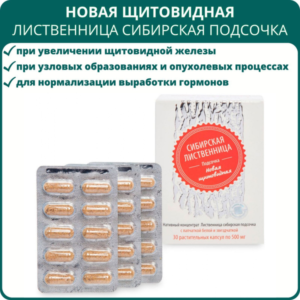 Лиственница сибирская подсочка Новая щитовидная с лапчаткой белой и ...