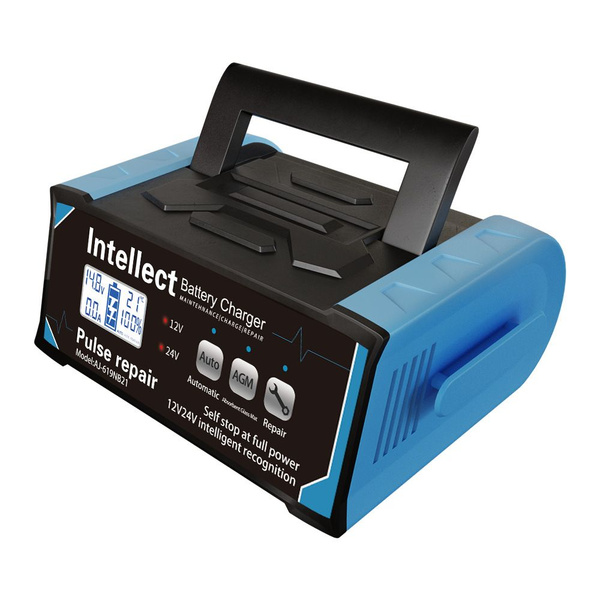 Интеллектуальное зарядное устройство для аккумуляторов автомобиля 12V ...