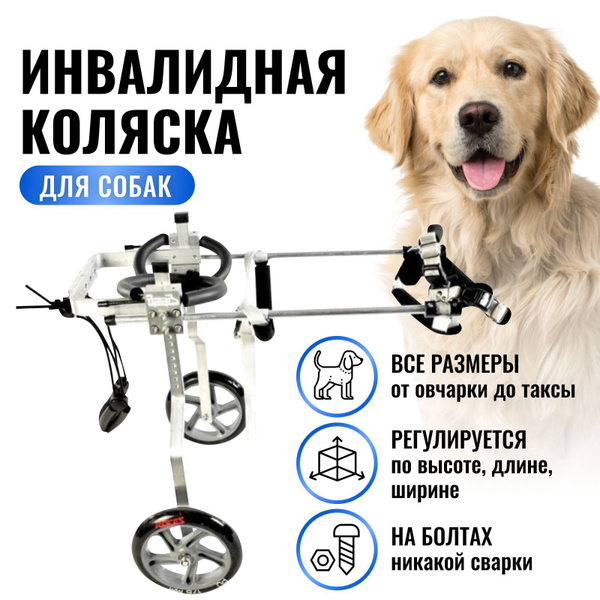 Инвалидные коляски для животных