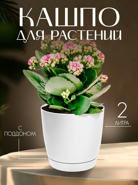 Кашпо, горшок для цветов, растений,цветочный пластиковый для балкона ...
