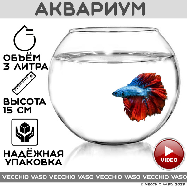 Аквариум шар круглый для рыбок 3 литра - купить с доставкой по выгодным ...