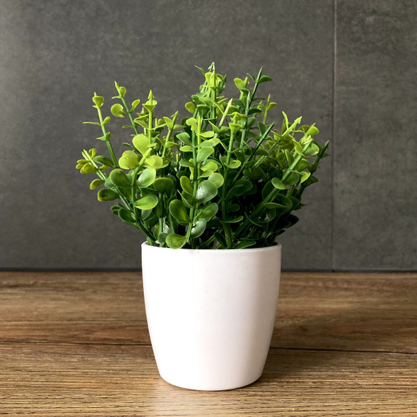 Купить Искусственная зелень самшит / эвкалипт мини для декора в горшке ...