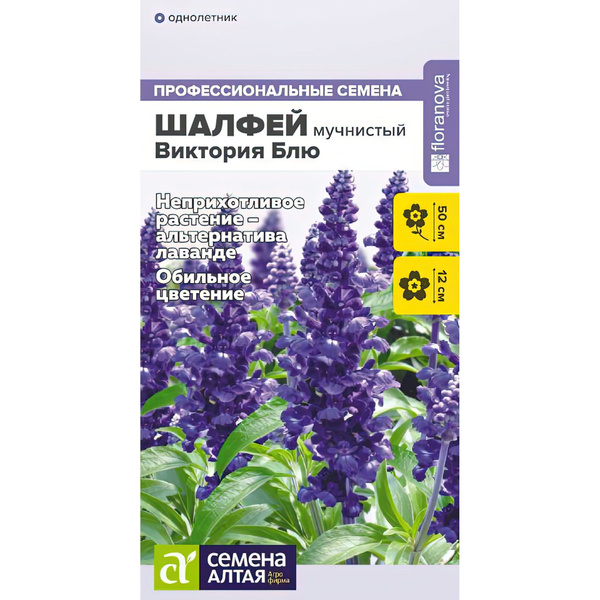 Шалфей Семенами Цена