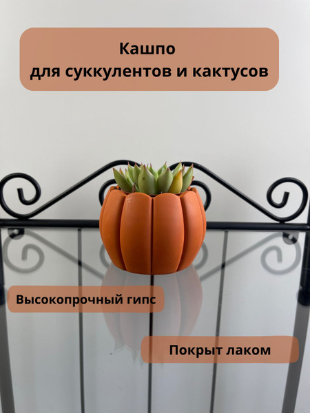 Кашпо Тыква, гипс, кашпо для кактусов и суккулентов - купить с ...