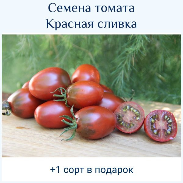 Томаты томат - купить по выгодным ценам в интернет-магазине OZON ...