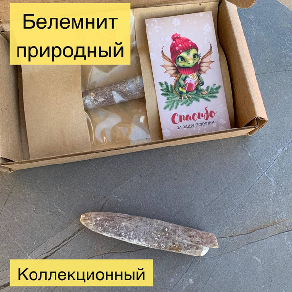 Белемнит окаменелость древний моллюск купить на OZON по низкой цене ...