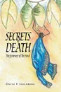 Secrets of Death. The Journey of the Soul - David E Goldberg