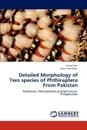 Detailed Morphology of Two species of Phthiraptera From Pakistan - Saima Naz, Syed Anser Rizvi