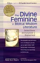 The Divine Feminine in Biblical Wisdom Literature. Selections Annotated & Explained - Rabbi Rami Shapiro