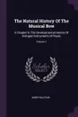 The Natural History Of The Musical Bow. A Chapter In The Developmental History Of Stringed Instruments Of Music; Volume 1 - Henry Balfour