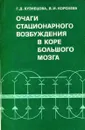 Очаги стационарного возбуждения в коре большого мозга - Г.Д. Кузнецова, В.И. Королева