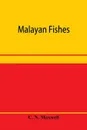 Malayan fishes - C. N. Maxwell