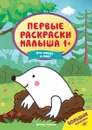 Кто живет в лесу? Книжка с наклейками - Н. Соснина