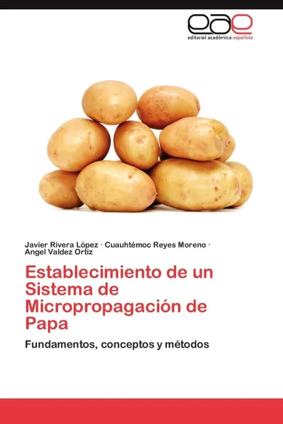 Обложка книги Establecimiento de Un Sistema de Micropropagacion de Papa, Rivera Lopez Javier, Reyes Moreno Cuauhtemoc, Valdez Ortiz Angel