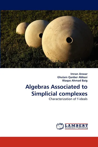 Обложка книги Algebras Associated to Simplicial complexes, Imran Anwar, Ghulam Qanber Abbasi, Waqas Ahmad Baig