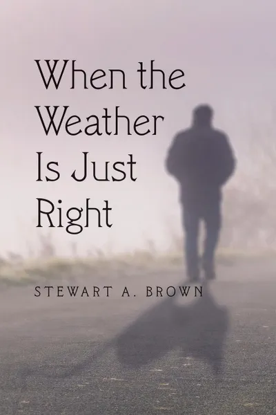 Обложка книги When the Weather Is Just Right, Stewart A. Brown