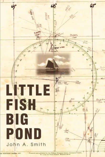 Обложка книги Little Fish Big Pond, John A. Smith