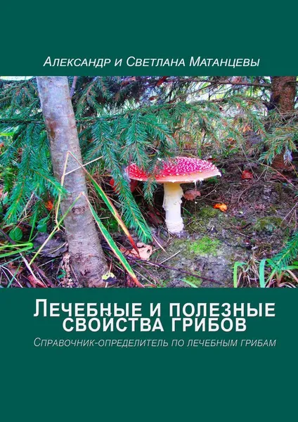 Обложка книги Лечебные и полезные свойства грибов, Александр Матанцев