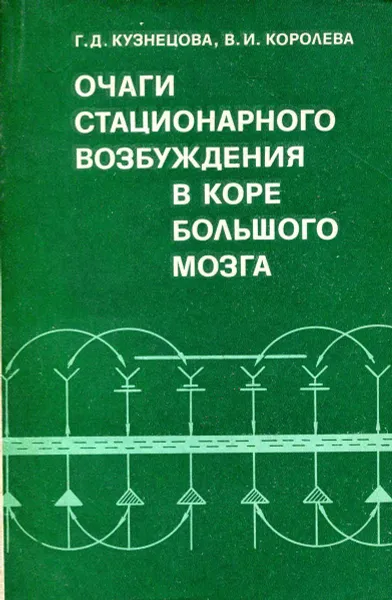 Обложка книги Очаги стационарного возбуждения в коре большого мозга, Г.Д. Кузнецова, В.И. Королева