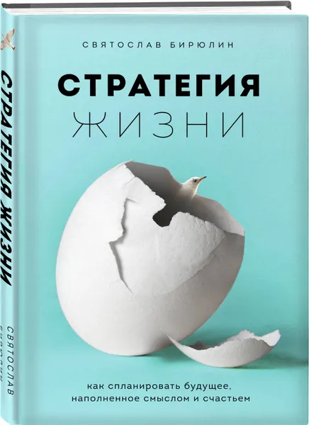 Обложка книги Стратегия жизни. Как спланировать будущее, наполненное смыслом и счастьем, Бирюлин Святослав Борисович