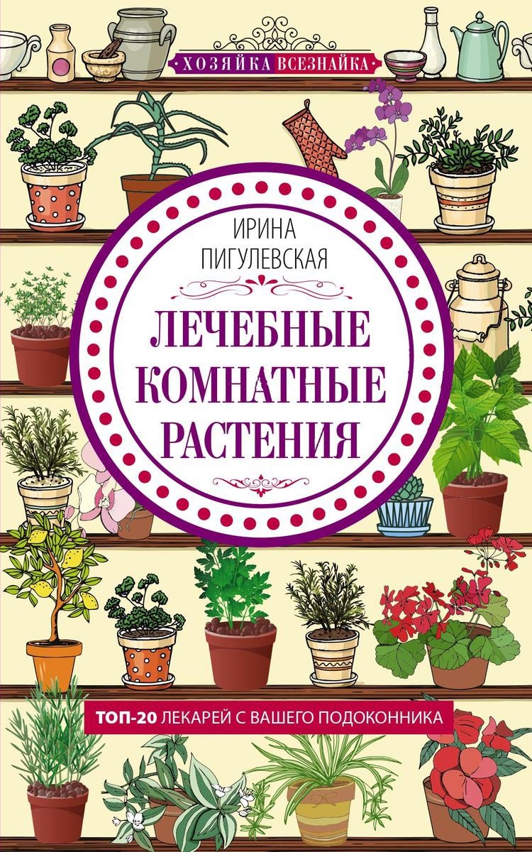 фото Лечебные комнатные растения. ТОП ­20 лекарей с вашего подоконника