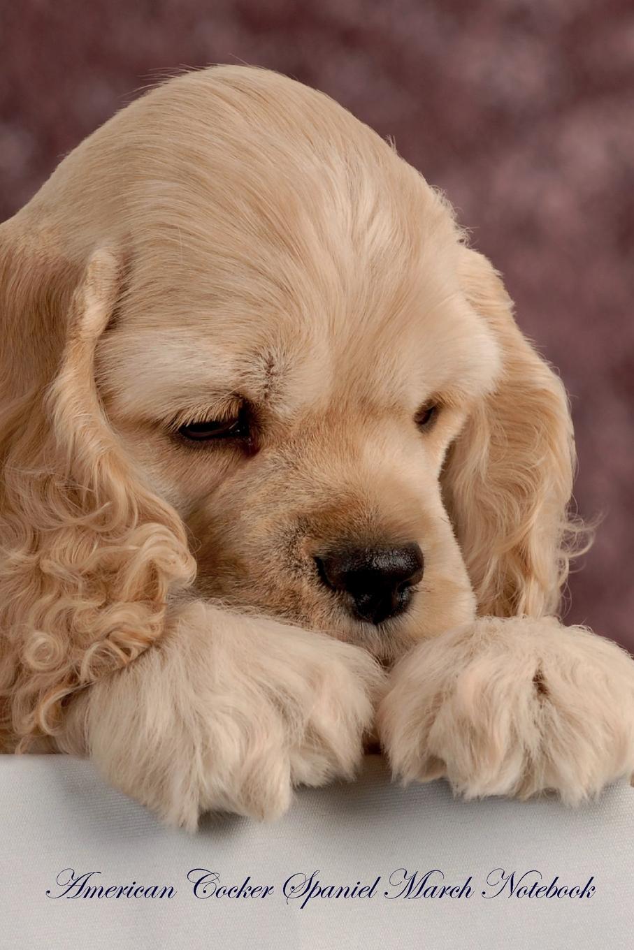 American Cocker Spaniel March Notebook American Cocker Spaniel Record, Log, Diary, Special Memories, To Do List, Academic Notepad, Scrapbook & More. Spaniel World American Cocker Spaniel March Notebook American Cocker Spaniel Record, Log, Diary, Special Memories, To Do List, Academic Notepad, Scrapbook & More. Spaniel World