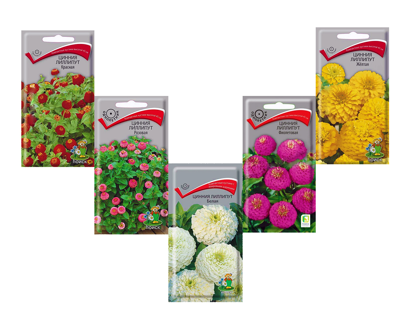 Купить Семена Красивых Цветов В Интернет Магазине