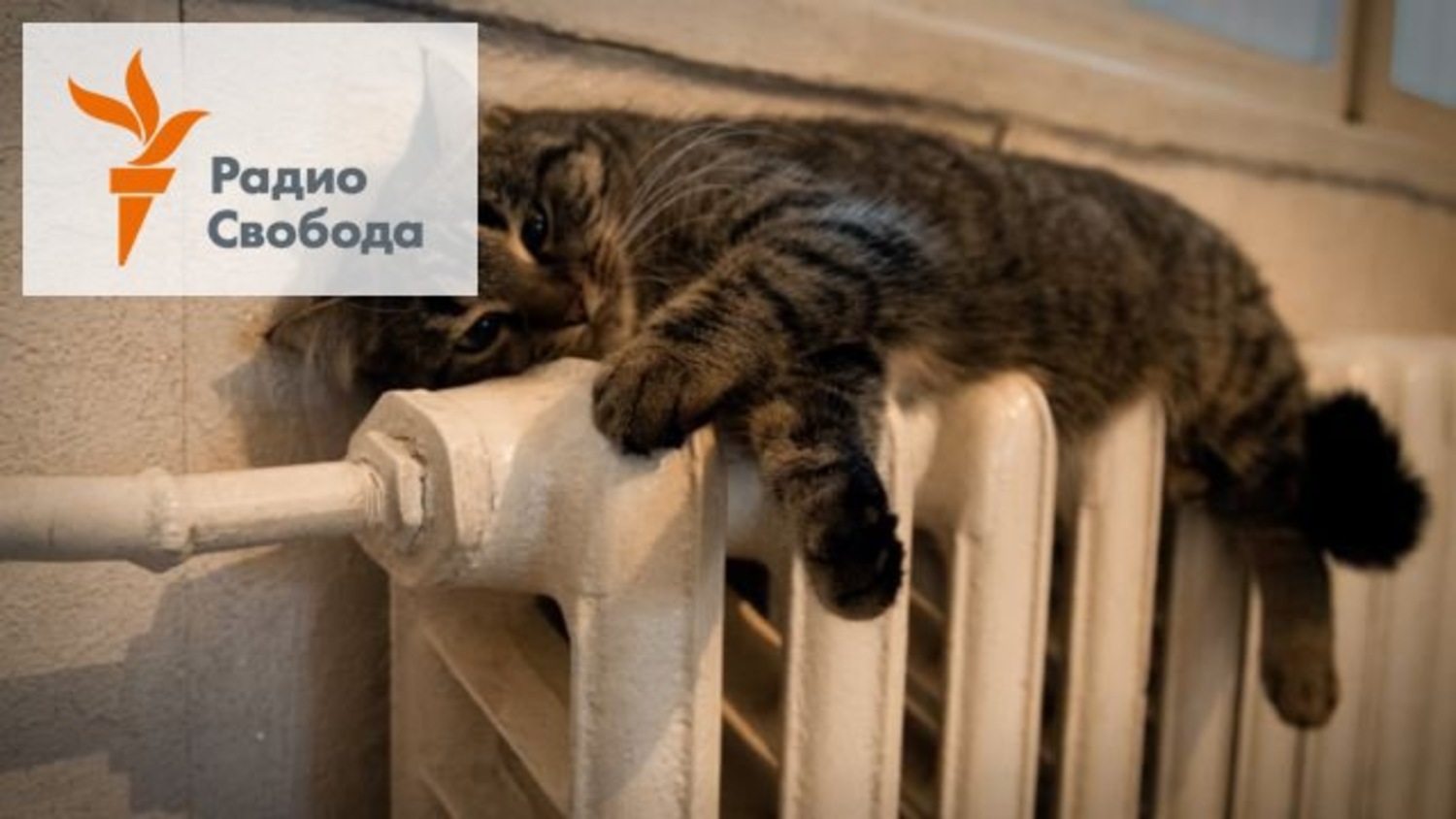 Теплые Батареи Картинки