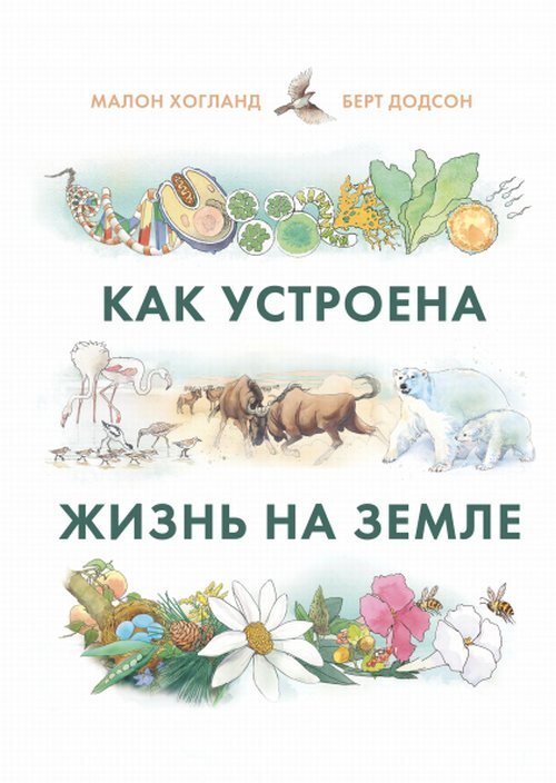 Как устроена жизнь? Анатомия поиска Петренко Валерий Михайлович - купить с доста