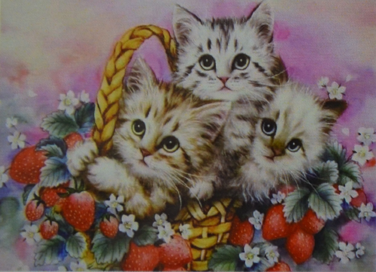Открытки котики милые