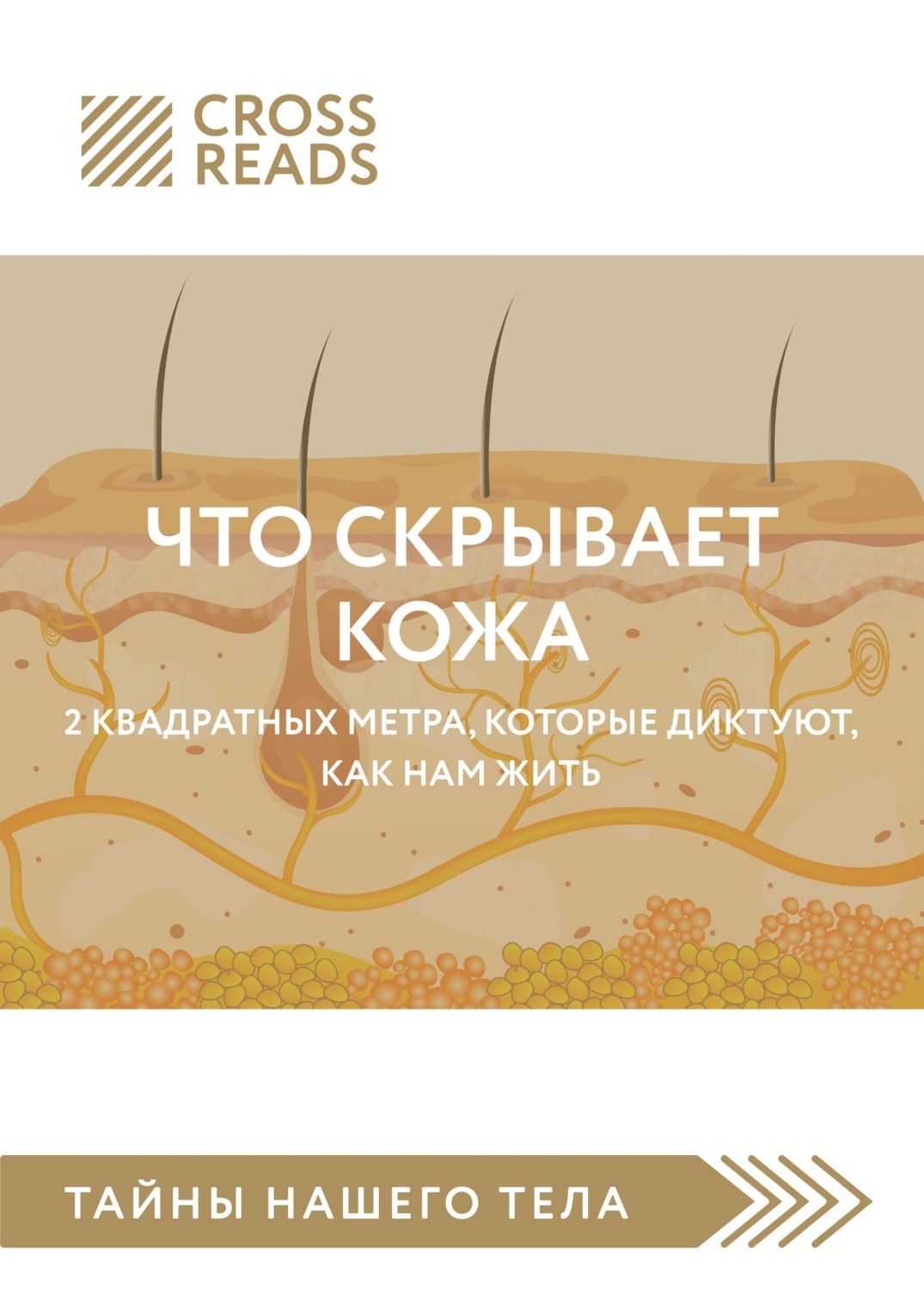 Вам диктуют как жить. Что скрывает кожа. 2 Квадратных метра, которые диктуют, как нам жить. Книга кожа 2 квадратных метра. Что скрывает кожа книга. 2 Квадратных метра которые диктуют как нам жить