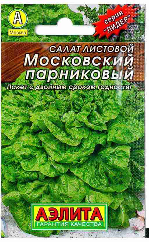 Сорт салата московский парниковый. Московский парниковый листовой. Салат изилиф. Салат Мишутка.