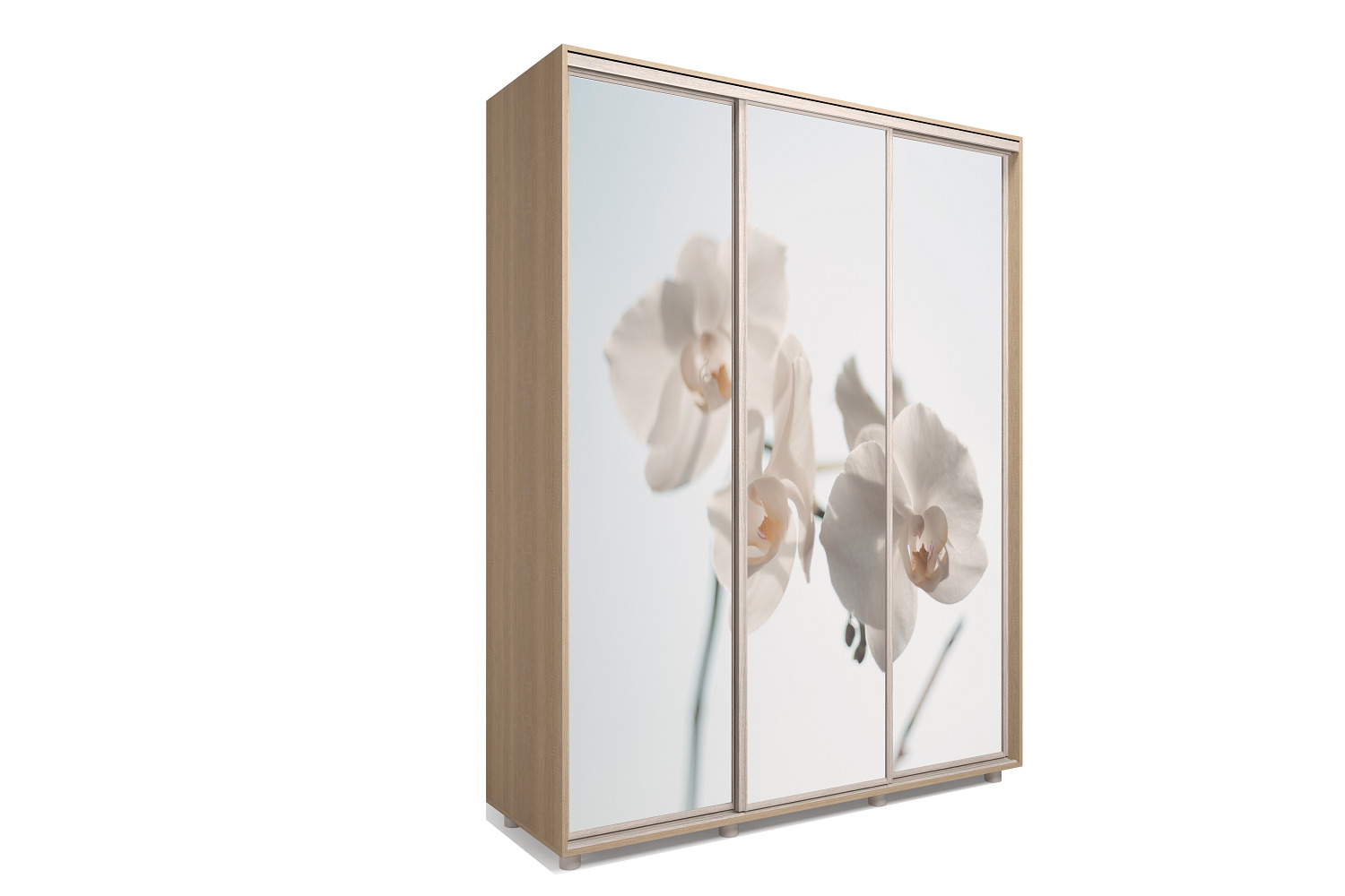 шкаф-купе миррор 3-3. 2 (феникс). поездка на поезде с детьми. мама купе. в поезде с дочерьми.