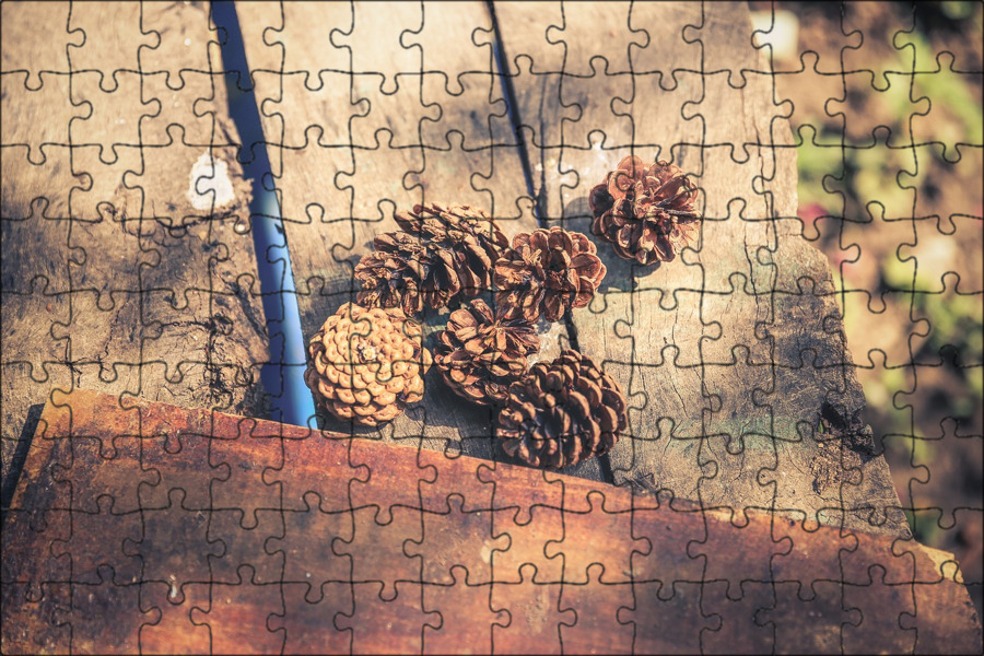 Шишка на дереве 3. Березовые шишки. шишка березы. колючие шишки. дерево из шишек.