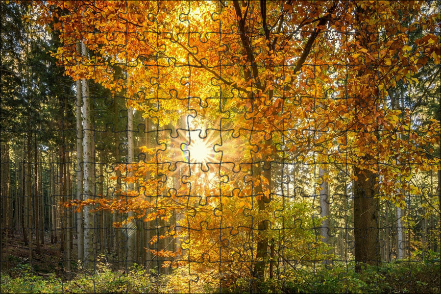 "Sunny autumn morning, professional ." - image created in Shedevrum