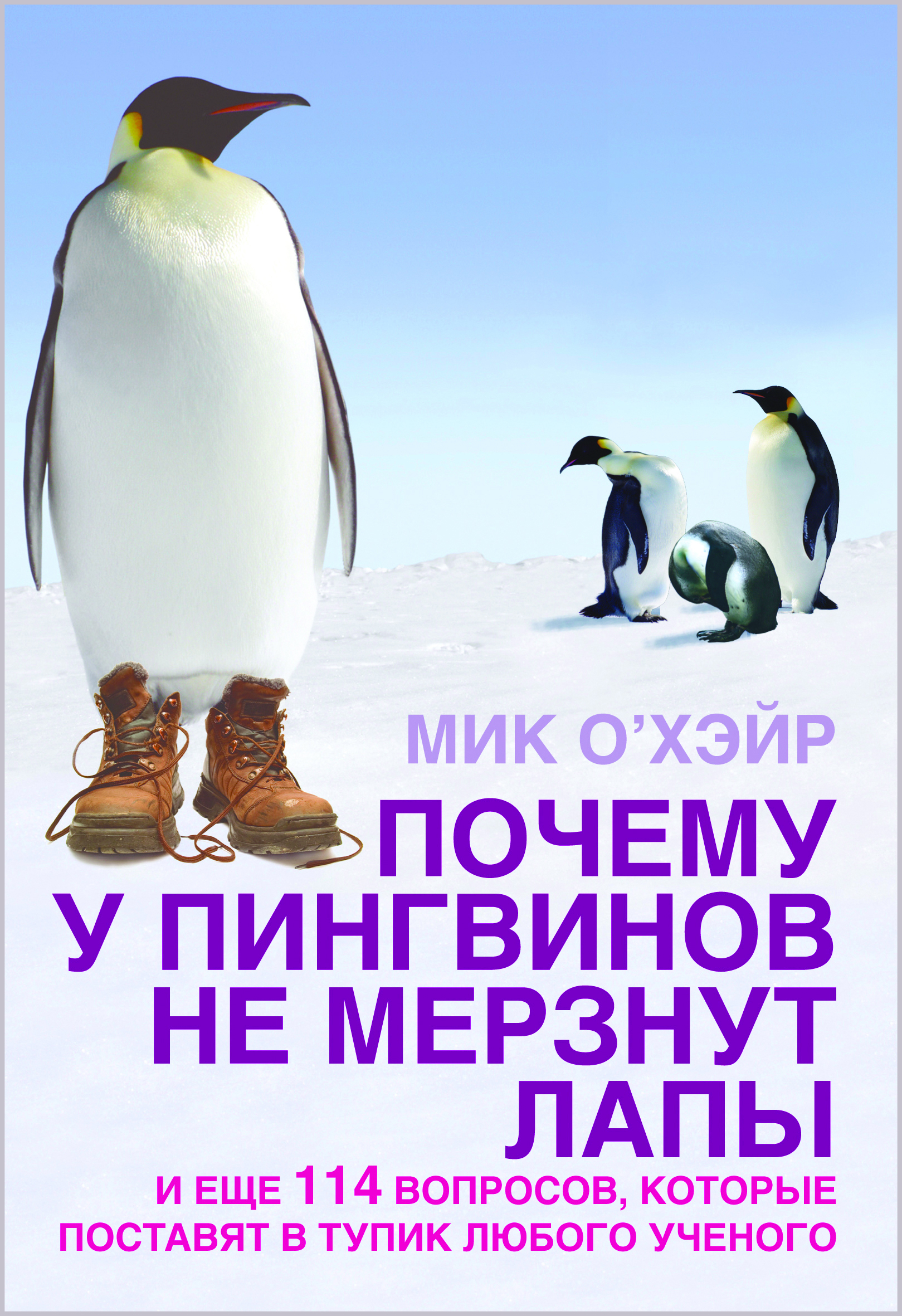 Почему мерзнут лапы. Книги о пингвинах. Книги про пингвинов для детей. Почему у пингвинов не мерзнут лапы. Пингвинчики не мерзнут.