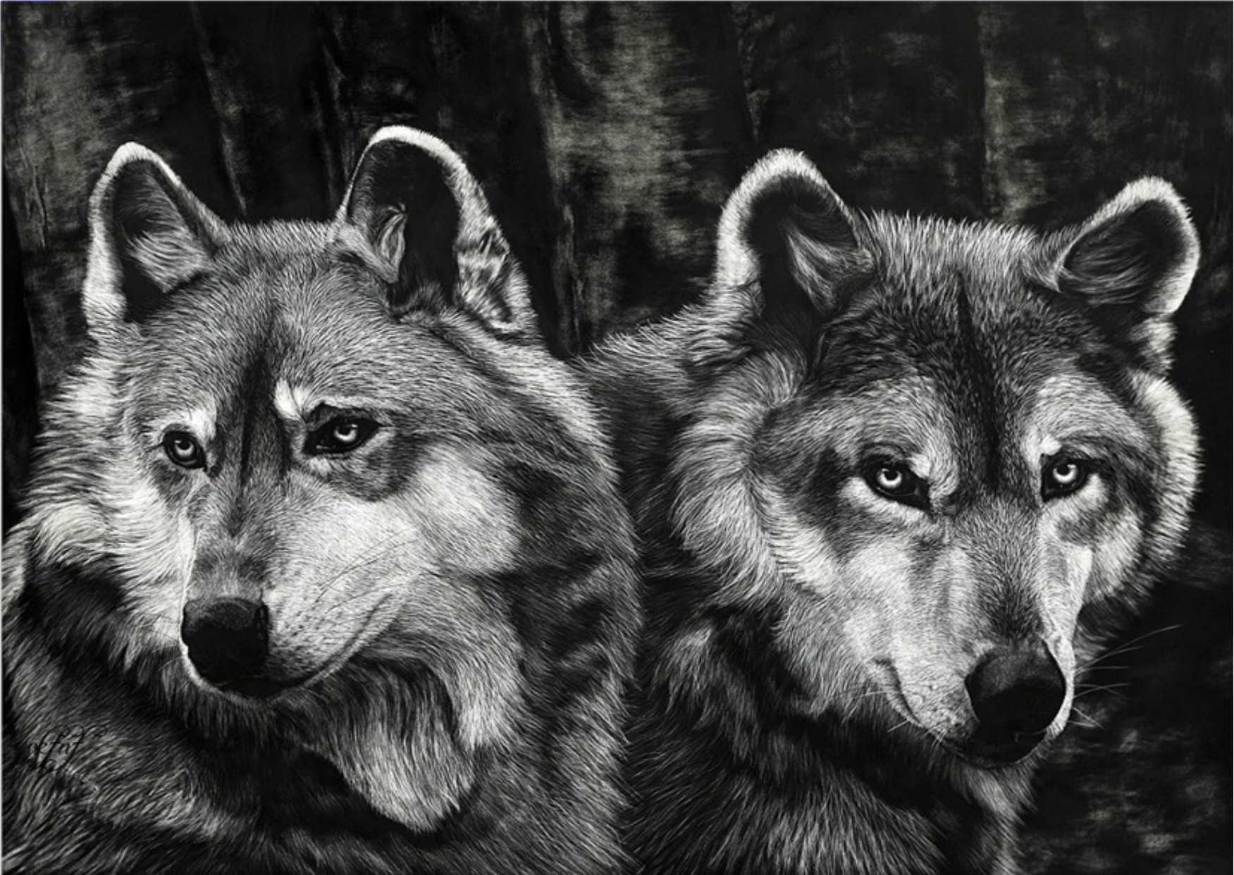 Волк и волчица Графика