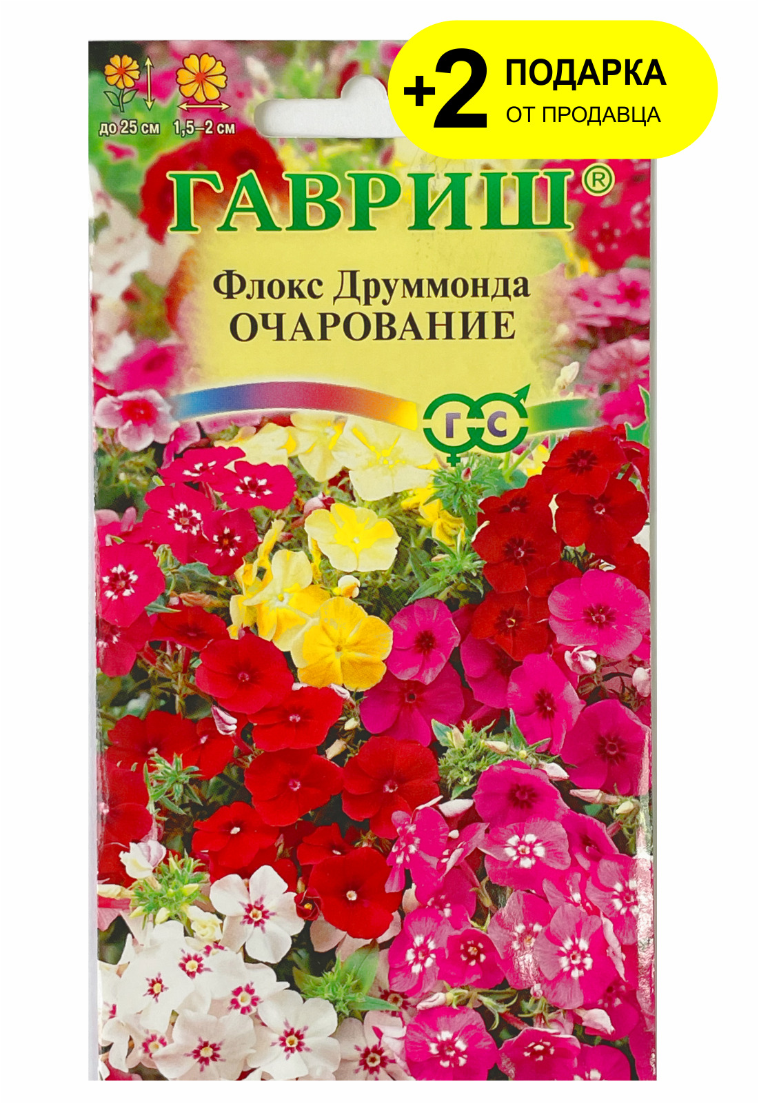 Флокс друммонда очарование