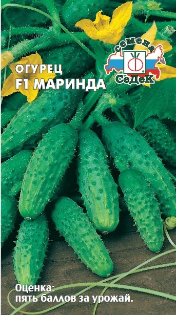 активация карты россельхозбанка. программа лояльльность урожай. магазин шанс воронеж. огурец маринда. баллы урожай.