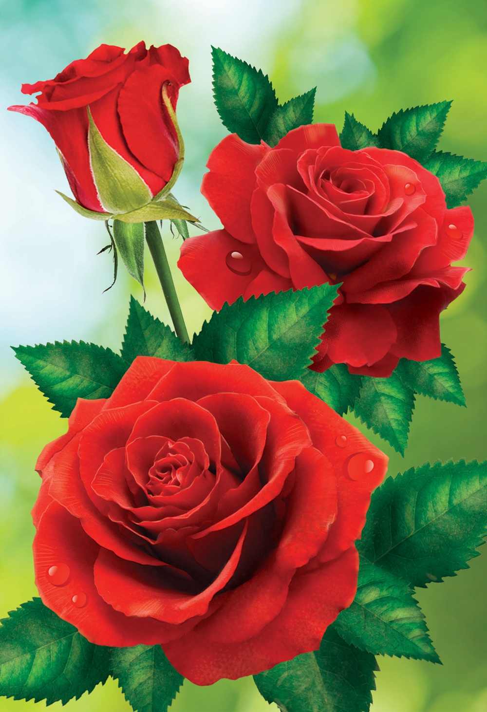 красивые картинки три розы