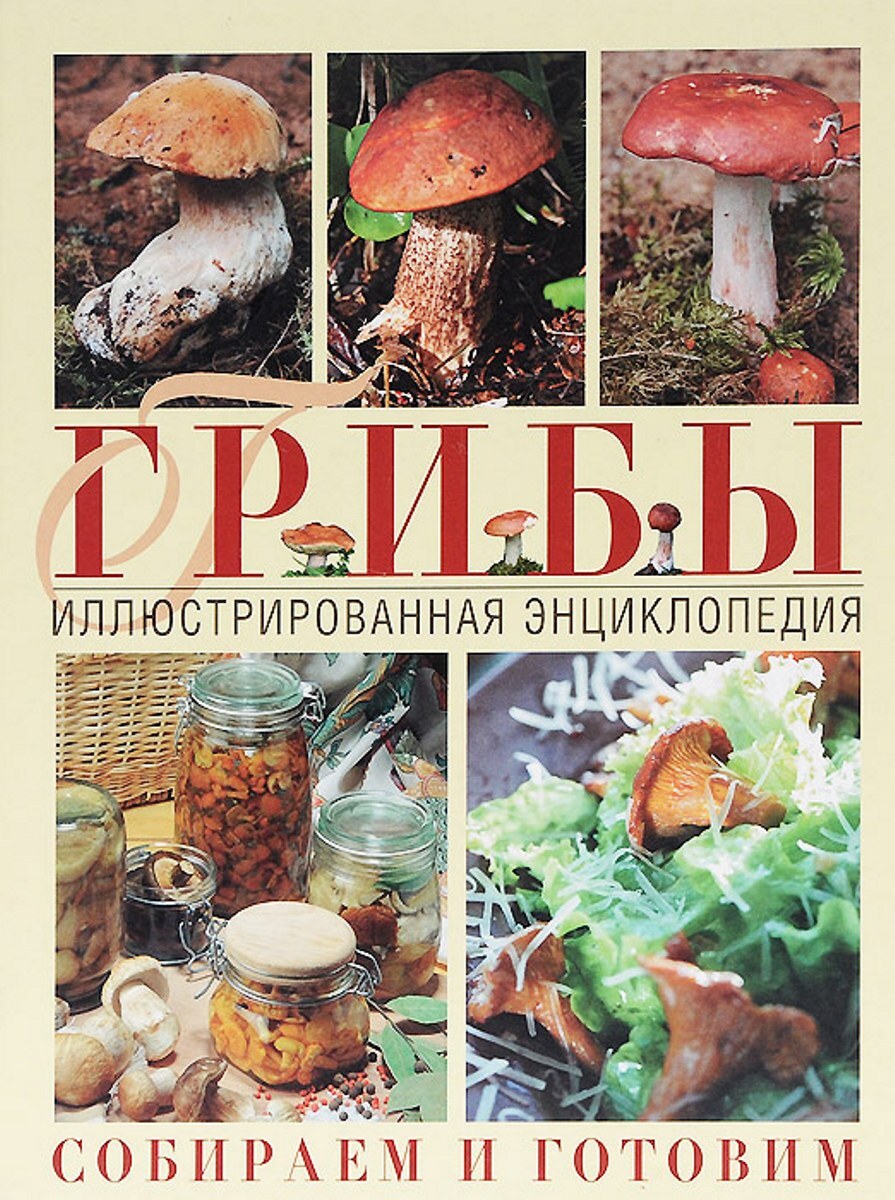 Книга про грибы с картинками